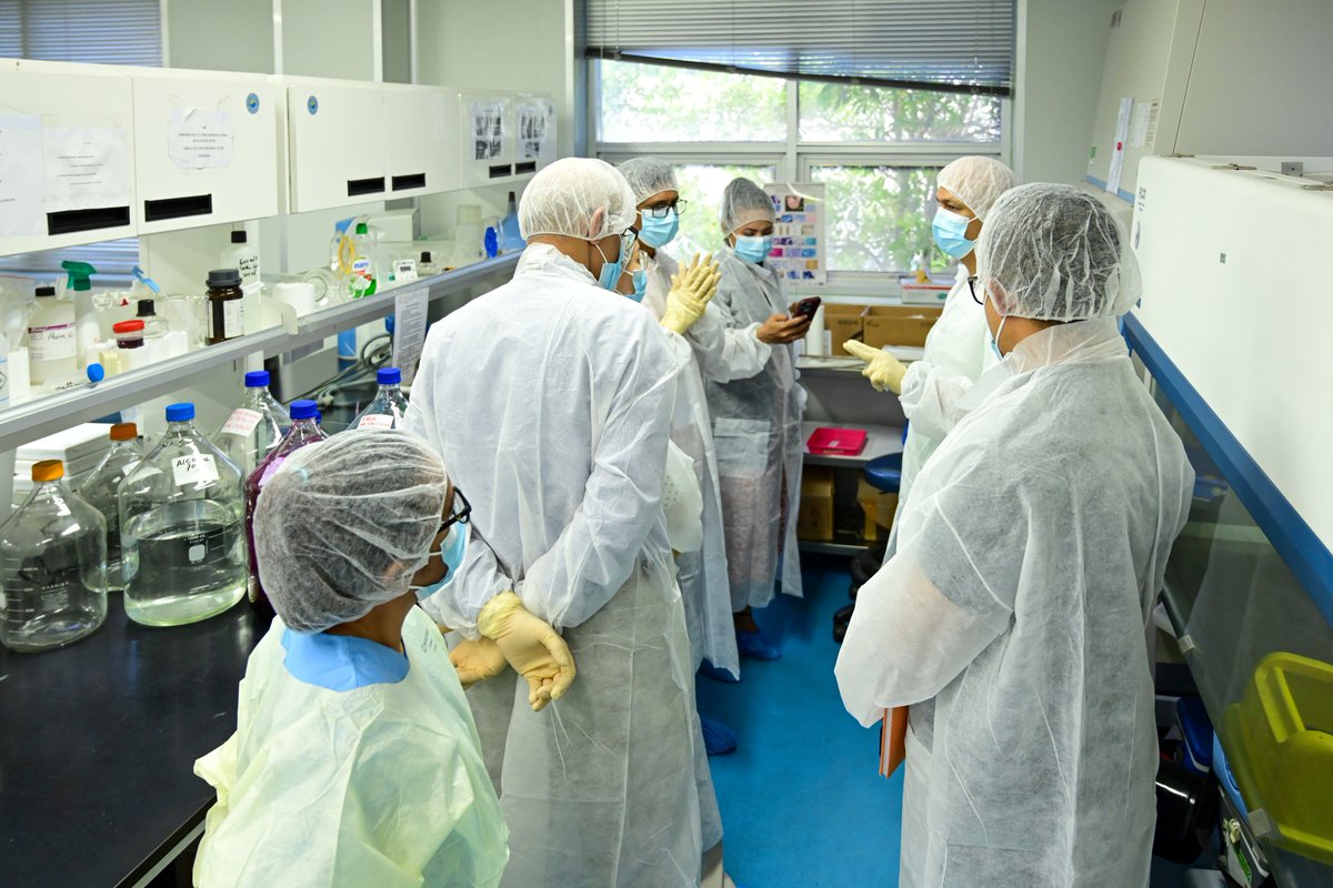 WHO Timor-Leste tweet media