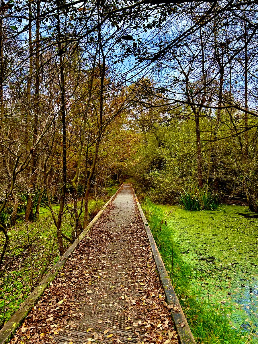 Virginie_VVD's tweet image. #November_kiek
Dag20: #Spoor