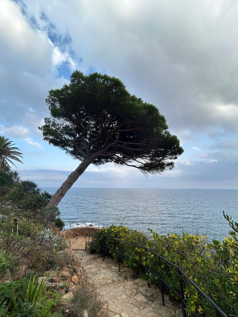 Alejandra Striuk (@astriuk) on Twitter photo 