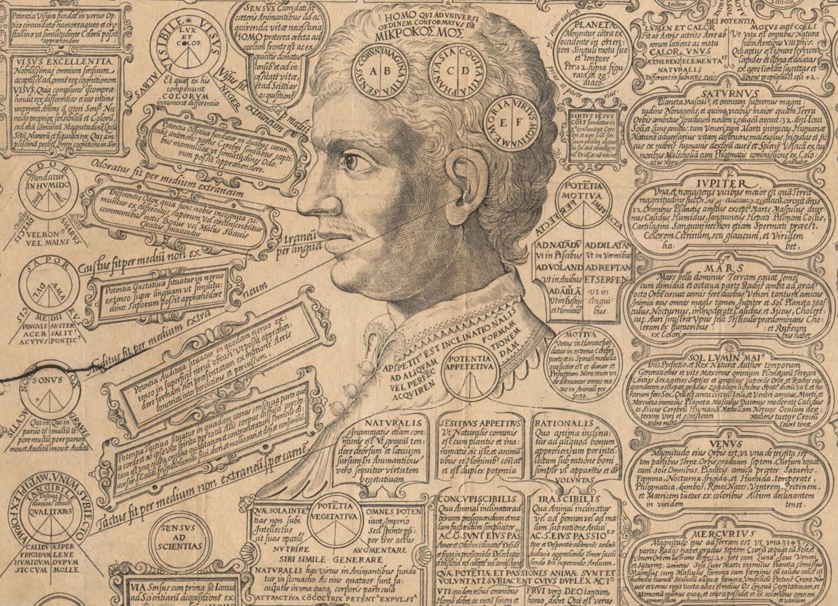 csmbr_pisa's tweet image. Between Medicine and Philosophy Series 11:

The Faculties of the Soul, 1596

from Andrea Bacci, &quot;Ordo universi et humanarum scientiarum prima monumenta&quot; (Antwerp 1596), Entry no: 2221015R, National Library of Medicine, Bethesda.

#CSMBR #Medicalhistory #Bacci #OrdoUniversi