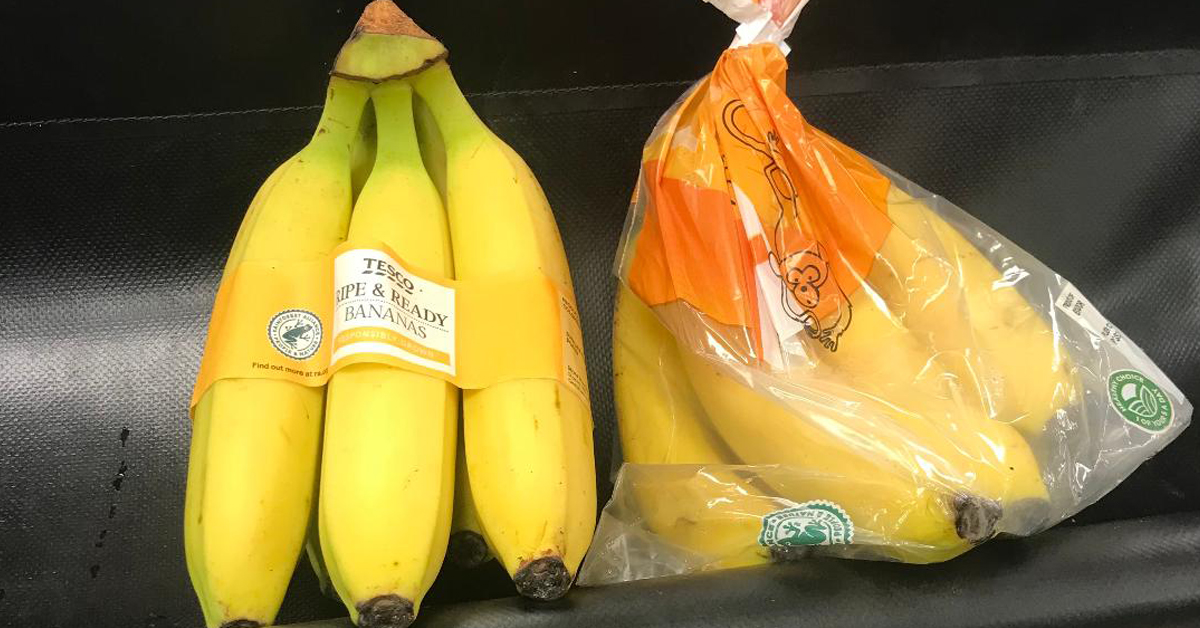 Ruby Croxford tweet media