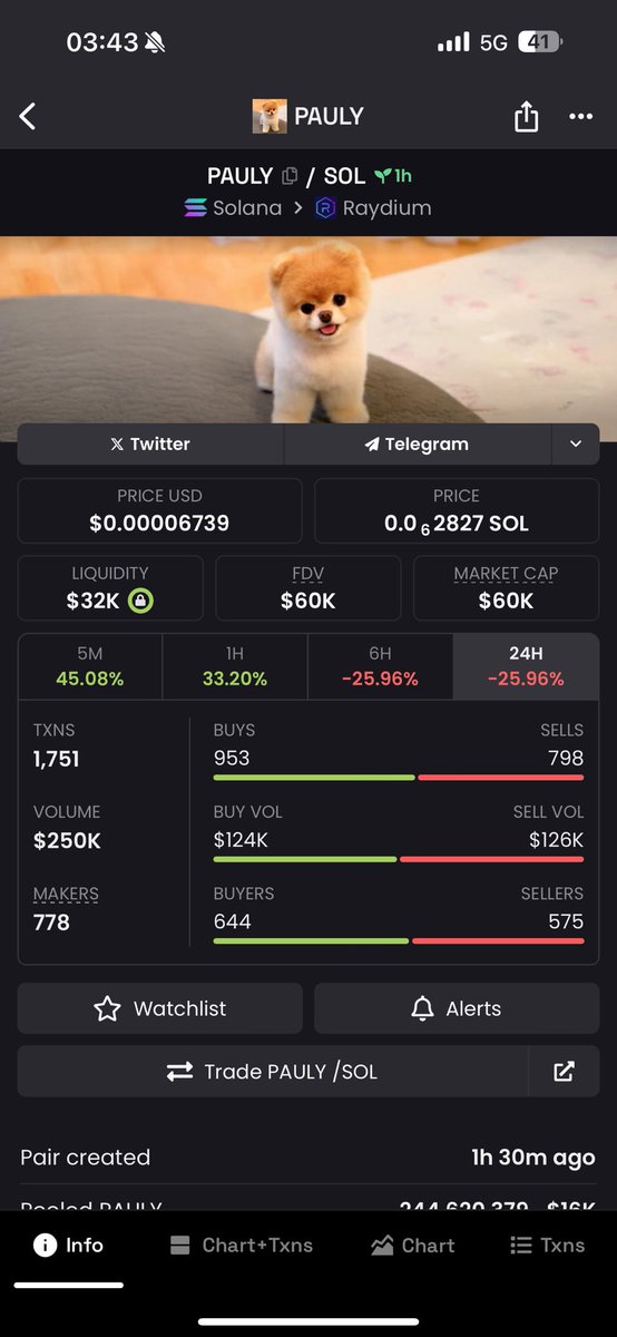 <a href="/cottonxbt/">cotton (unstable/acc)</a> $PAULY A CTO FOR THE PEOPLE IN THE TRENCHES