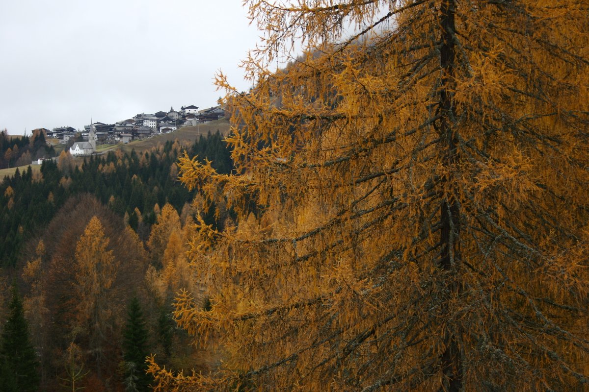 Sauris Zahre BEST TOURISM VILLAGE by UNWTO tweet media