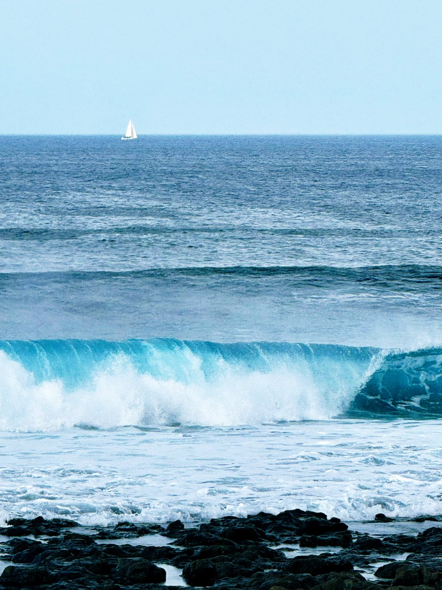 Frank Jongejan 🗽 (@frankjongejan) on Twitter photo 