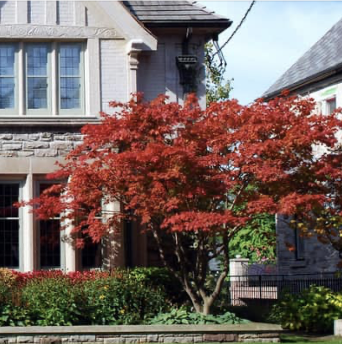 Insight Law tweet media