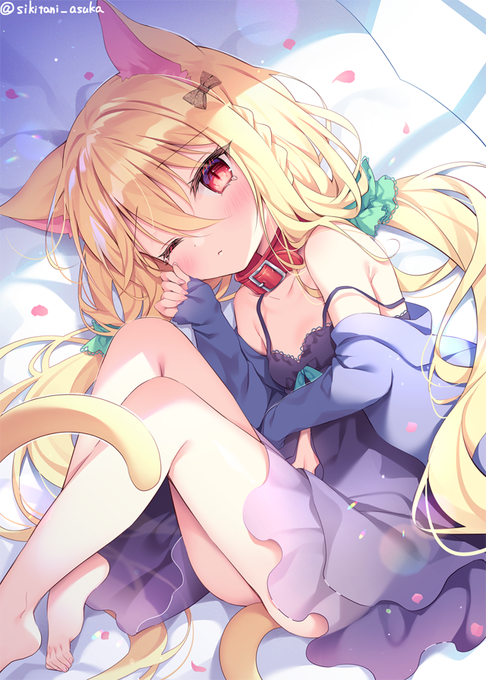 ひとりぼっちのお留守番が寂しい猫チャン

#いいふとももの日 