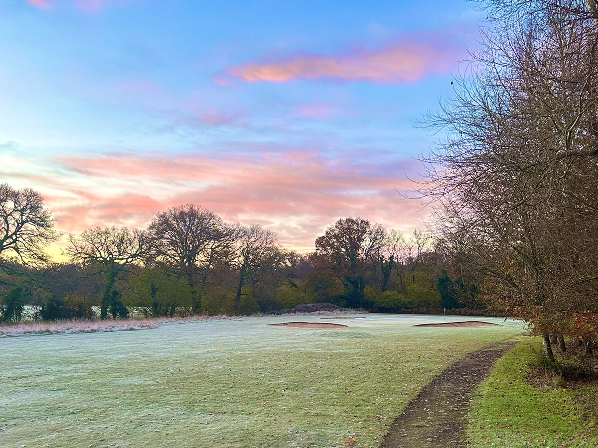 First frost of the year! Hard one too. 🥶