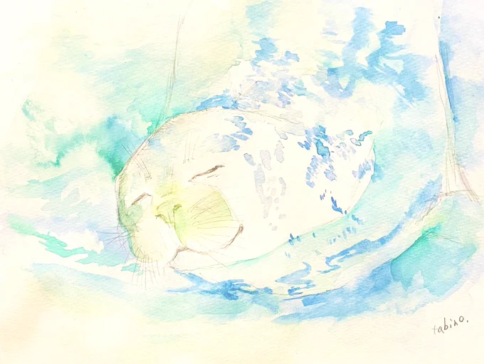 初めて描いてみました。ゴマフアザラシ。水の表現難しいですが楽しかったです。#アザラシ #動物イラスト #水彩画 