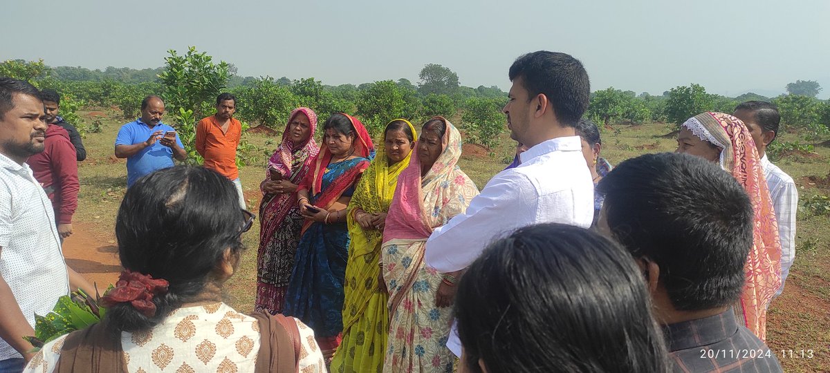 AlokMahabhoi's tweet photo. Today field visit of Mr. Somesh Upadhyay Collector Dhenkanal @Somesh_IAS @districtadmndkl visited Kaju plantison of farm ponds at village Mahulakholi ,Gondia block of Dhenkanal district and interacted with the beneficiaries and SHG members. https://t.co/vFhPYkYS4t
