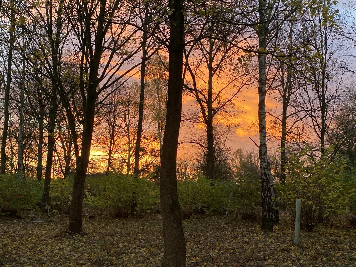 Winter sunrise Campbell Park ⁦<a href="/scenesfromMK/">scenesfromMK</a>⁩ ⁦<a href="/TheParksTrust/">The Parks Trust</a>⁩