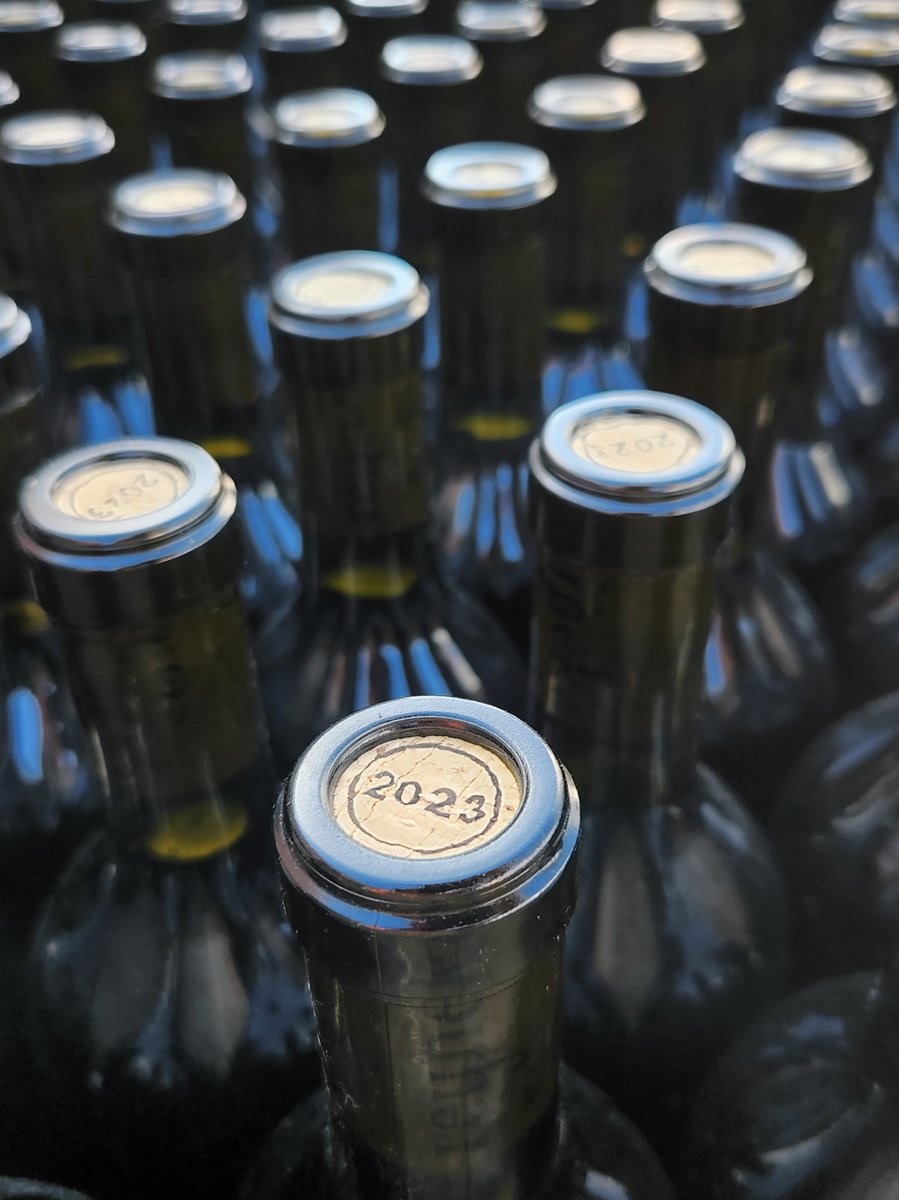 As the end of the year is upon us, we are busy in our cellar bottling a few of our wines to make space for the next harvest which is only a few months away.

#ReynekeWines