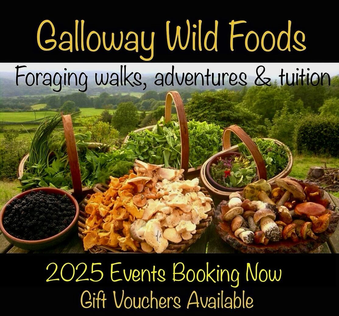 markwildfood's tweet photo. Lots of my 2025 events are live and bookable on my website now. 
Gift vouchers are available from £30…give the gift of free, delicious, healthy food…forever!
🍄🌿🌱
From Perthsire to Cumbria via lots of Scotland’s glorious West Coast, there is somethin… https://t.co/hlsRiUZAaF https://t.co/ODmpKzGqYT