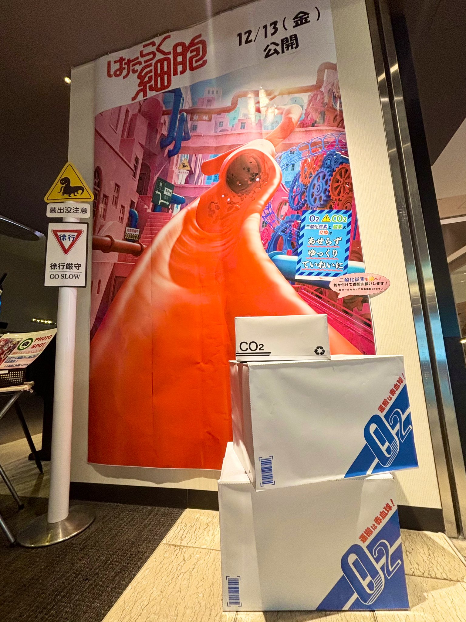 はたらく細胞 Fukase 深瀬 直筆サイン入り フライヤー レッド