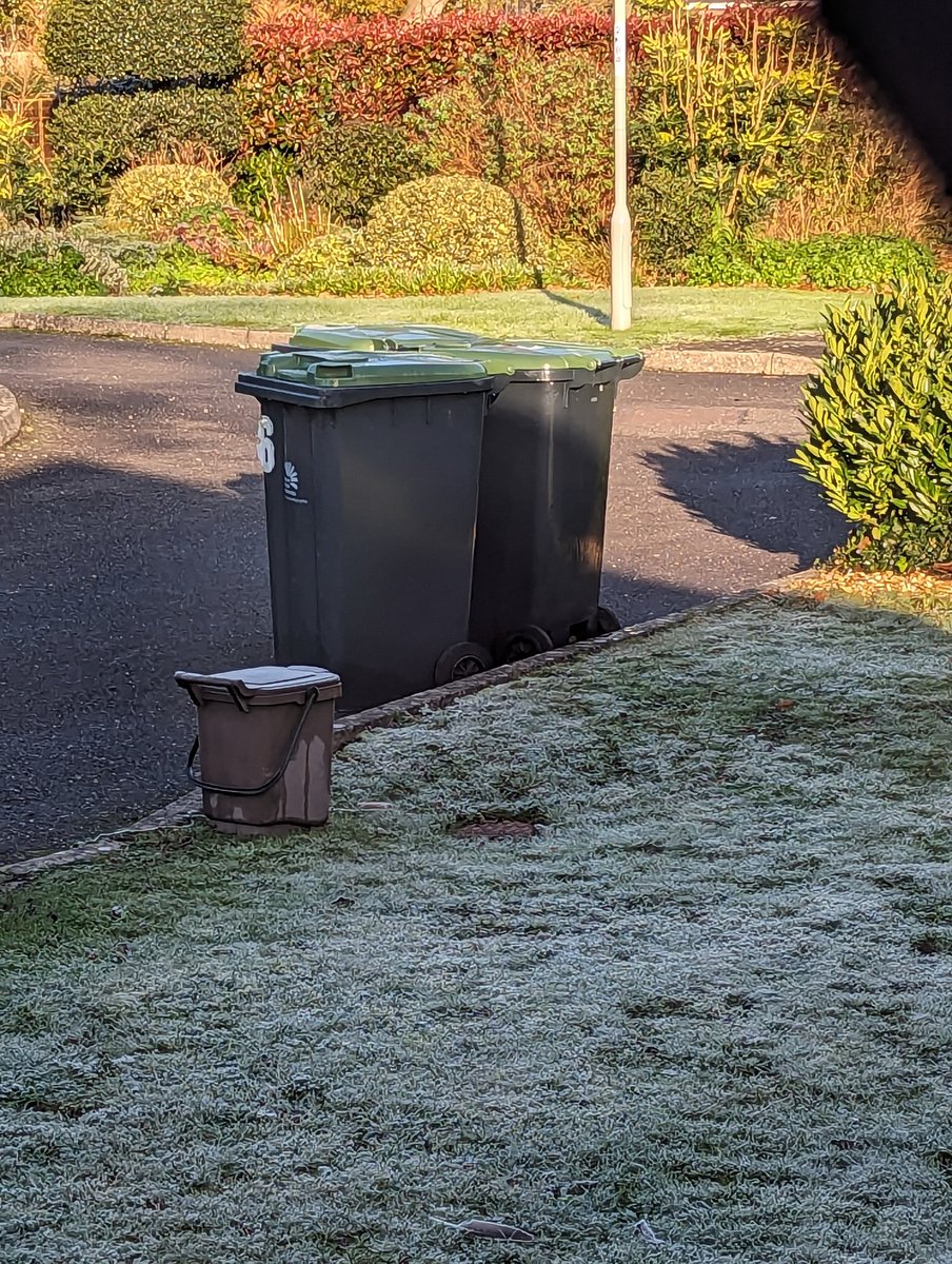 Across the frozen tundra the bins have grouped together for survival. In the scramble to find warmth the youngest member of the herd has been forgotten. Without the heat and protection of the group it will surely perish.