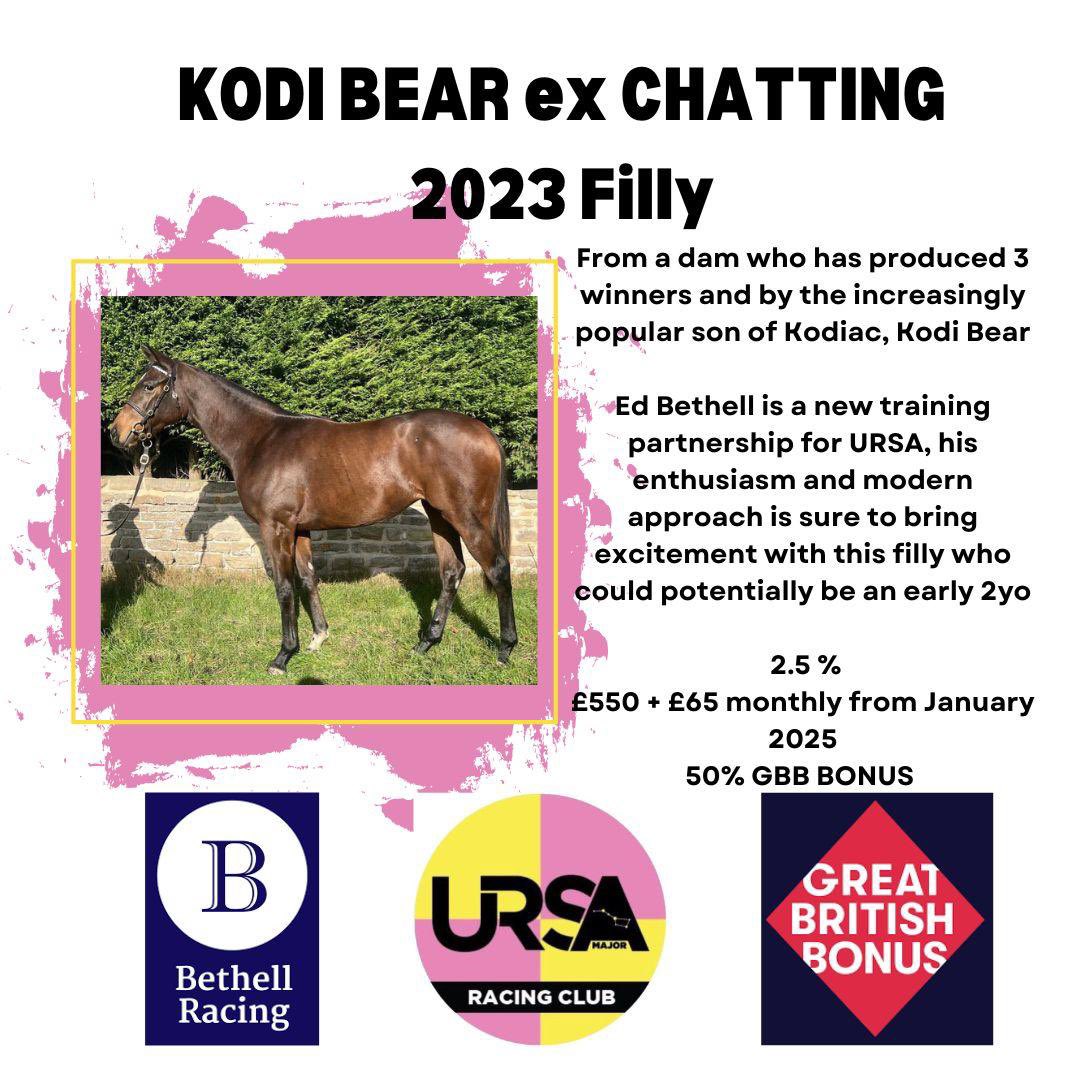 Ursa Major Racing Ltd tweet media