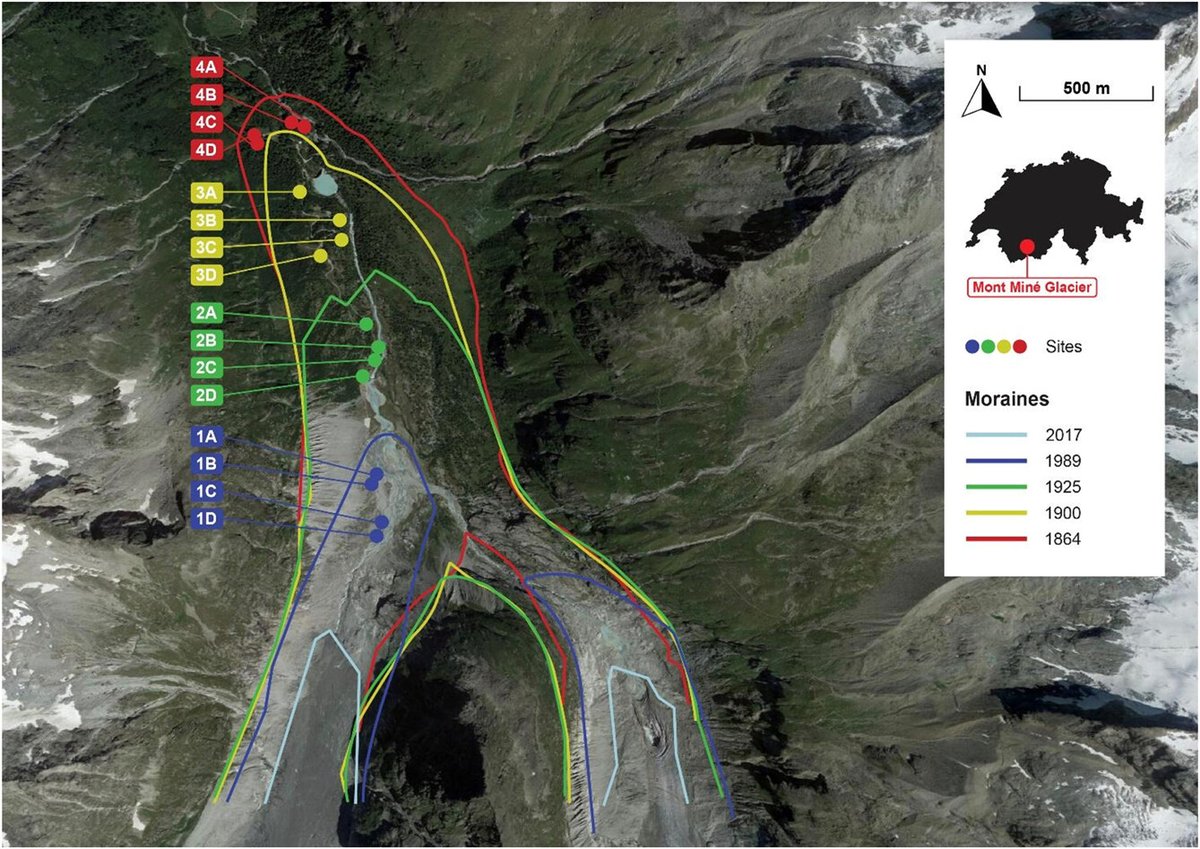 Ecography tweet media