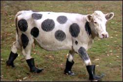 Se cumplen 40 años del estreno de 'Top Secret' en nuestro país y seguro que aún recuerdas un montón de escenas.