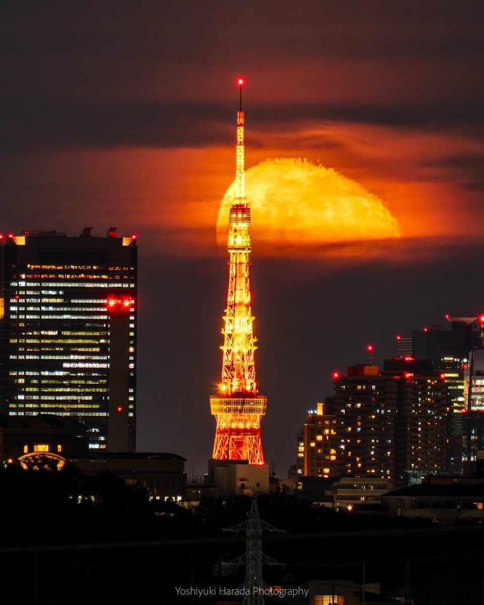 お月様が幻想的すぎた