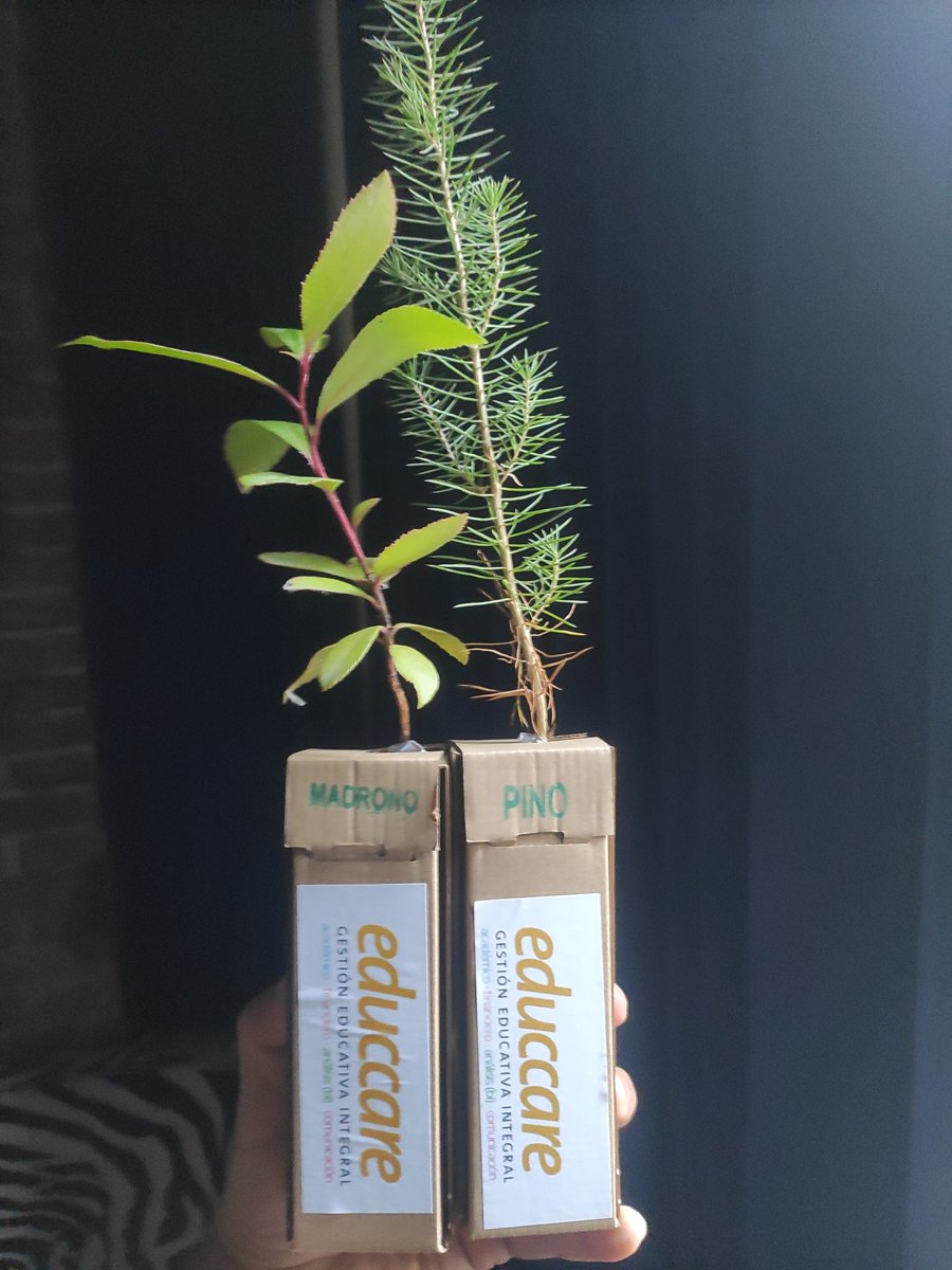 Espacios como <a href="/SIMOEDU_/">SIMO EDUCACIÓN</a> te nutren y enriquecen. Las compañeras de <a href="/Educcare_EDU/">Educcare</a> nos informan de su programa de gestión 🔝 y nos regalan algo que crecerá en Churriana. La energía, las ideas y la mirada de tanta gente emocionada cuando habla de #Educación es invisible a los ojos