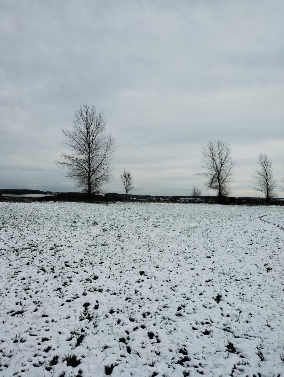 johnclewarth's tweet image. A beautiful walk in the calm countryside after the winter wonderland snowfall we had. It's refreshing to get out there and be a part of it all. Great headspace! #nature #snow