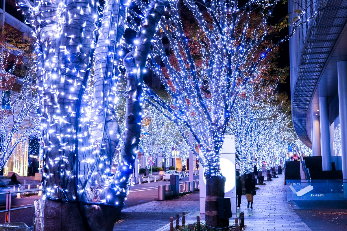 localviewjapan's tweet photo. The beauty of the Keyakizaka Illuminations is simply breathtaking!
Each tree, draped in shimmering blue lights, transforms the street into a dreamlike escape.
It’s a perfect reminder of the joy and wonder that this season brings! 💙🌟
#localviewjapan #roppongi #keyakizaka https://t.co/MOyW4hIp7q