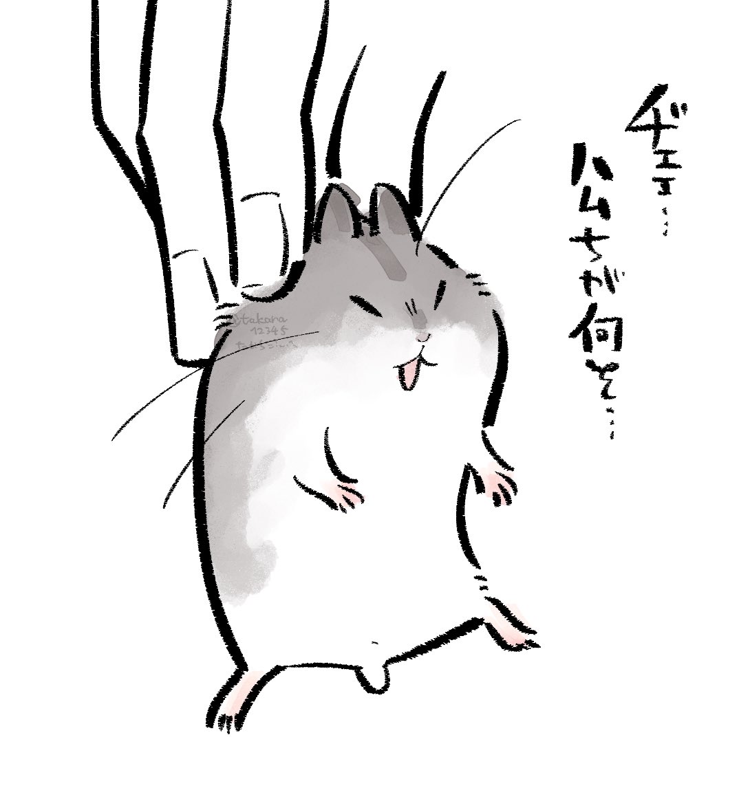 よいヂェェ顔 