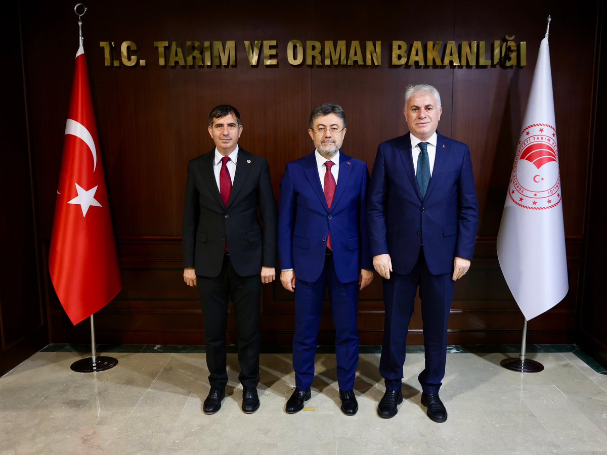 METE MEMİŞ tweet media