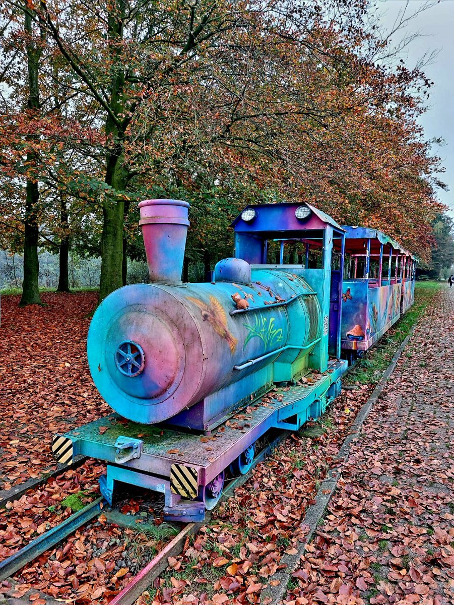 Karinvr066's tweet image. #November_kiek, #spoor