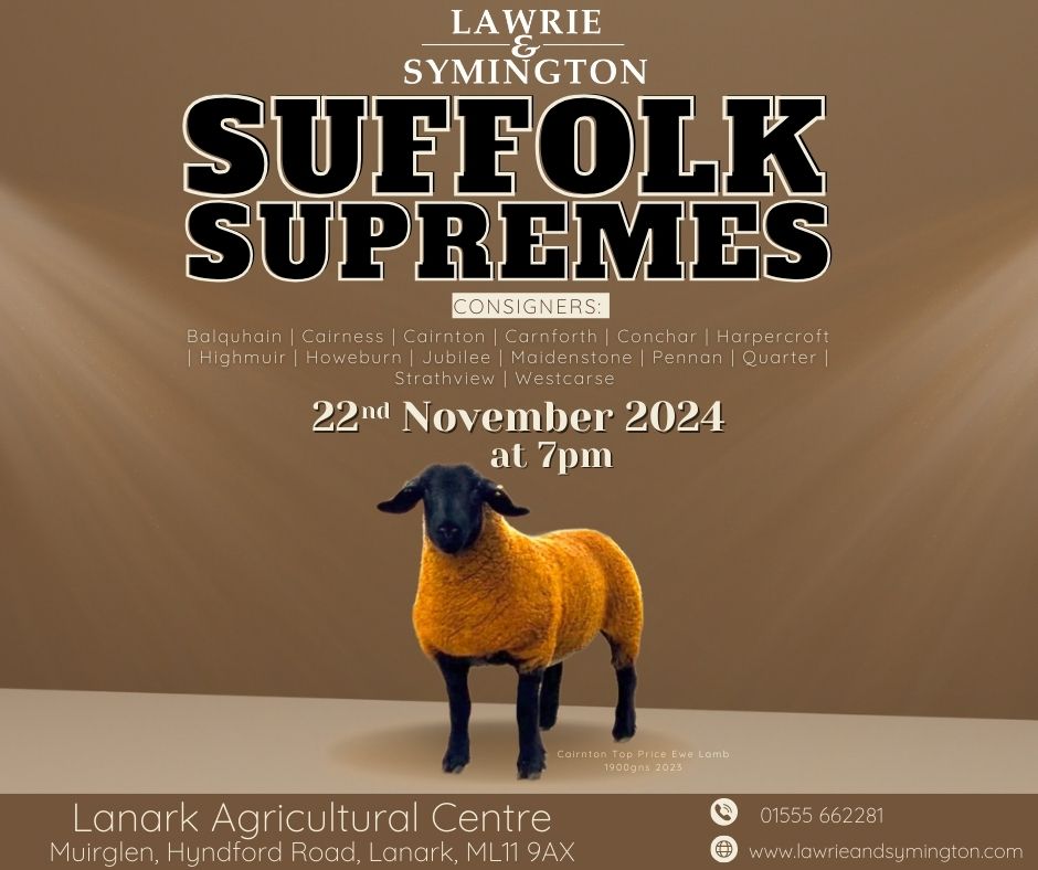 Suffolk Supremes : SALE OF 50 IN-LAMB FEMALES &amp; EMPTY EWE LAMBS

THIS FRIDAY, 22ND NOVEMBER at 7pm
Videos/Images of Entries viewable via Suffolk Supremes  Facebook

Online Bidding via <a href="/marteye1/">MartEye</a> 

📷 Catalogue: lawrieandsymington.com/sale-catalogue…

<a href="/sheep_suffolk/">Suffolk Sheep Society</a>