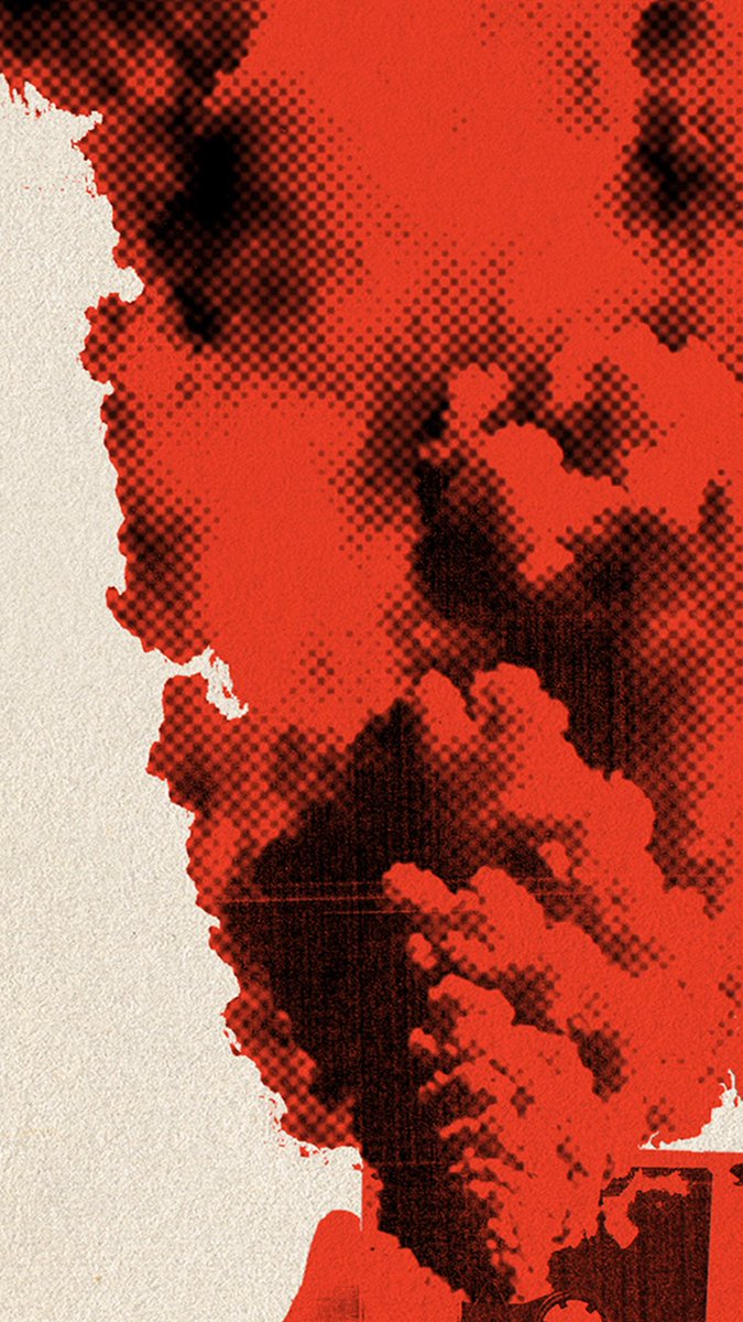 Tomorrow. 21/11/24. 10am. Guess who’s back… <a href="/WhiteRabbitBks/">White Rabbit Books</a>