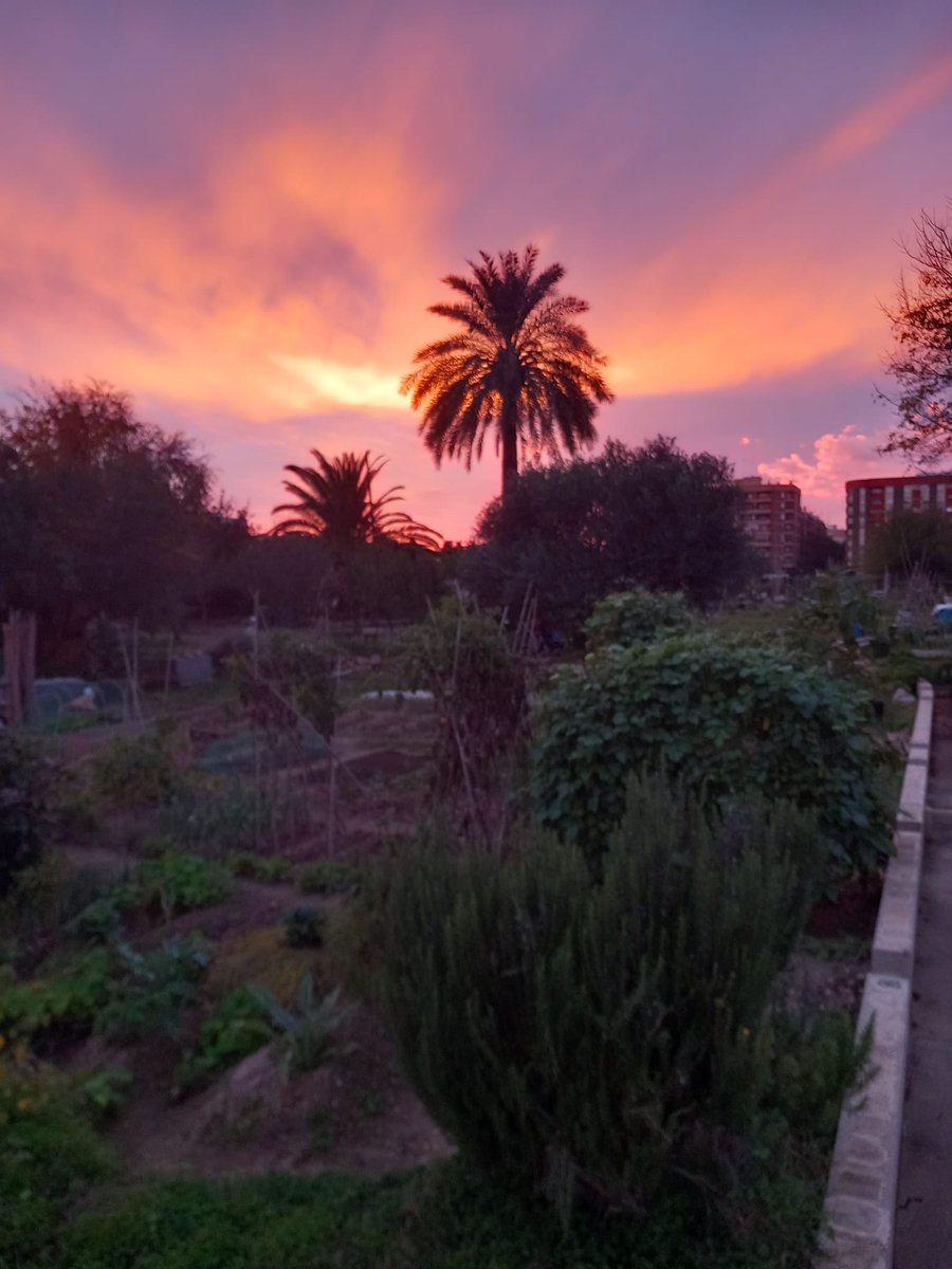 Espectacular capvespre a Benimaclet, cortesia de Juan Pablo.

Espectacular atardecer en Benimaclet, cortesía de Juan Pablo.