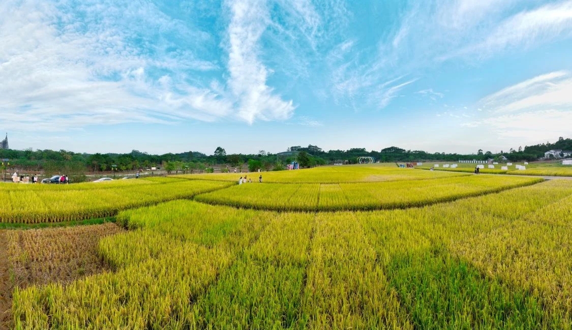 amazingnanning's tweet image. The charm of Dingsi Mountain in Nanning is at its peak, with visitors capturing the scene with their sketchbooks, enjoying scenes and cycling through the landscape—it's as if one has stepped into the whimsical world of a Studio Ghibli animation. #Nanning  #ScenicBeauty
