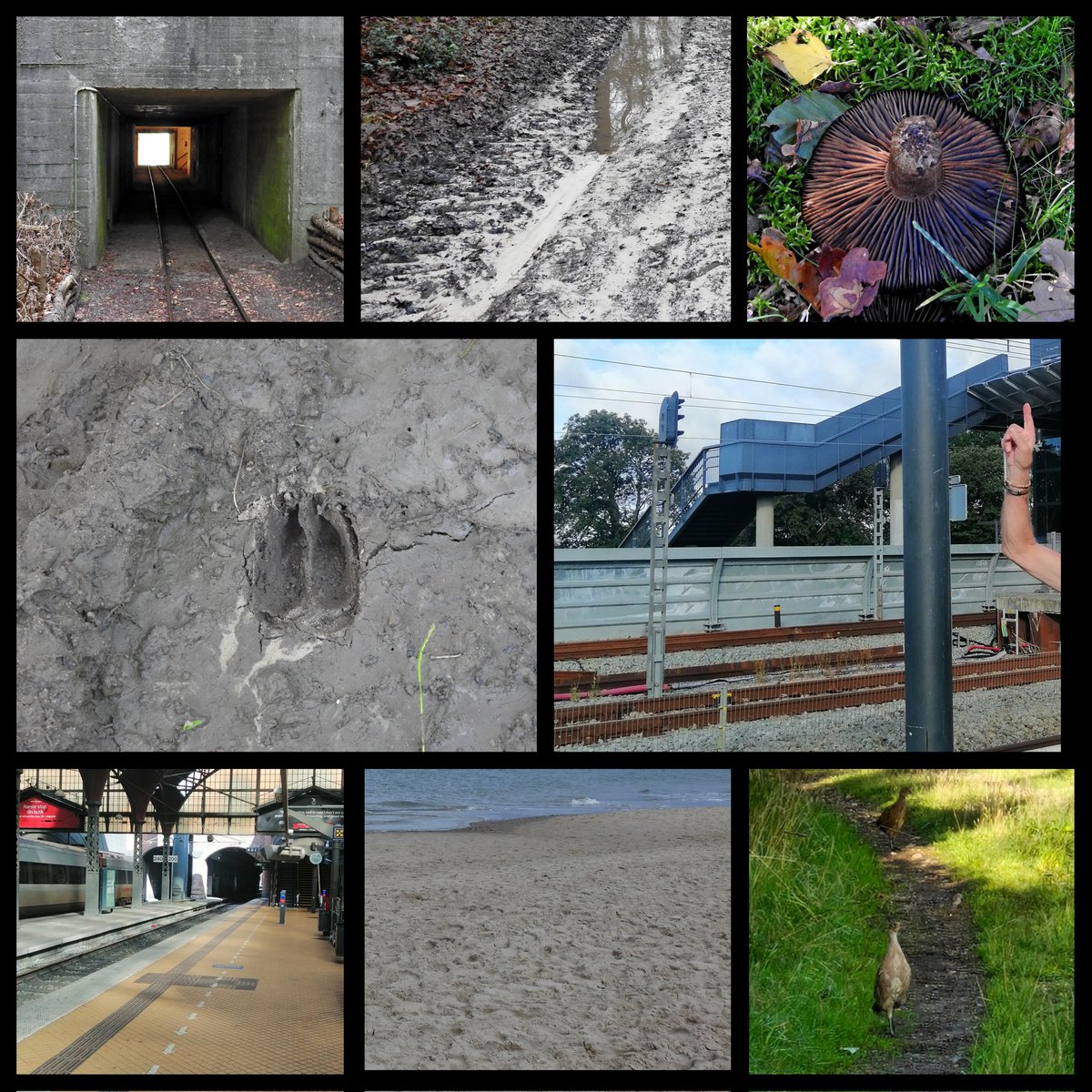 Kajee45Kajee's tweet image. #dag20 #November_kiek 
@Tpzijl 
#Spoor