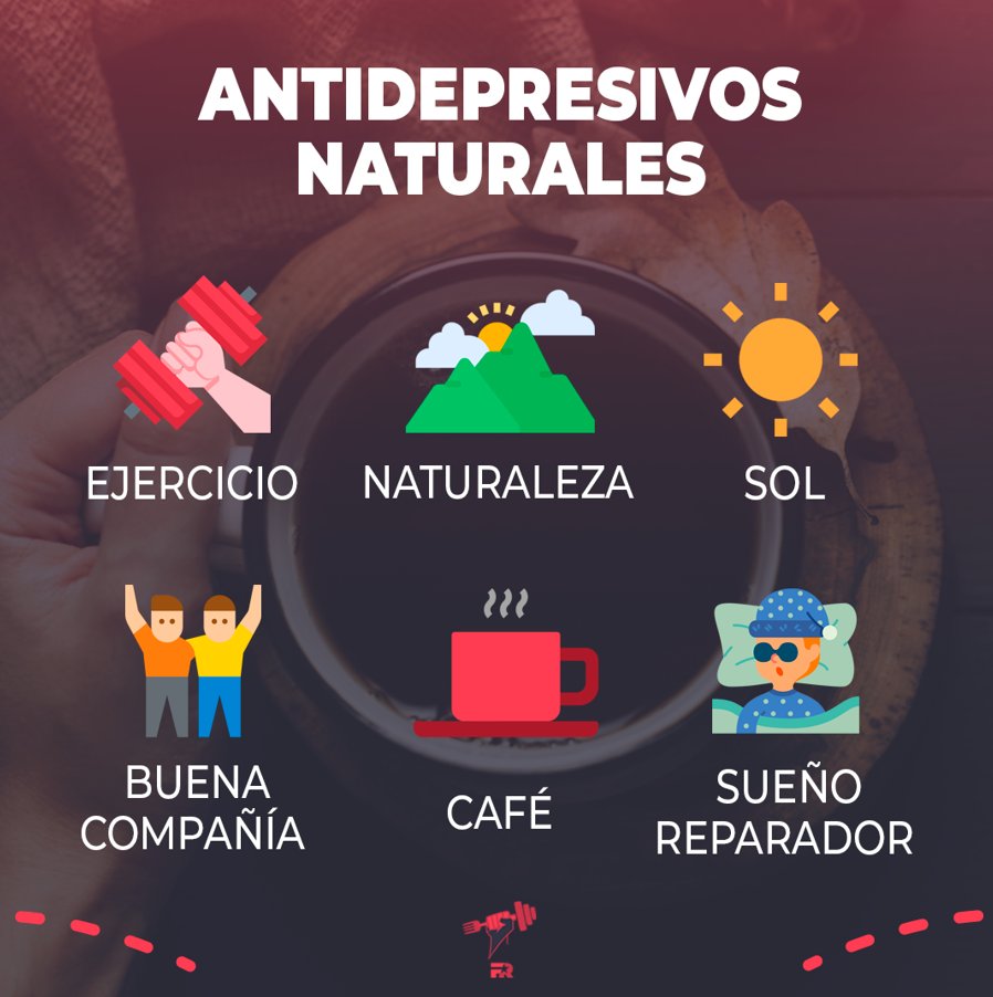FITrebelde's tweet photo. Lo que hacemos influye en cómo nos sentimos.

El ejercicio, la naturaleza, el descanso o la buena compañía mejoran nuestro estado de ánimo. https://t.co/T429pFt3EF