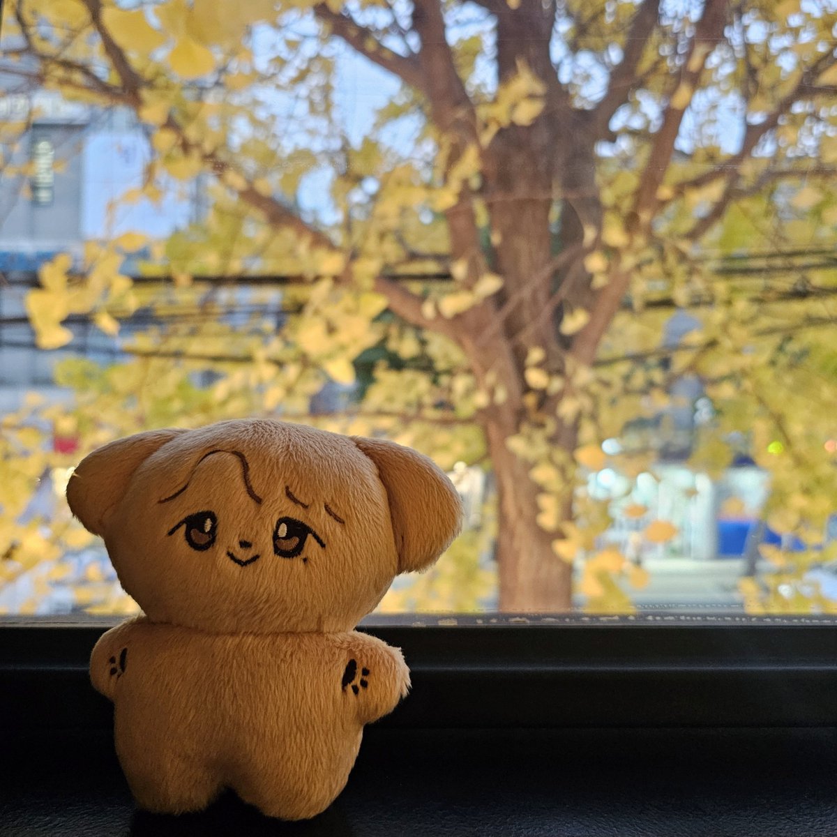 sinEsewoon's tweet photo. 늦가을 구경하는 센꿈이🐶와 깡총행🐰
보들보들 귀엽고 촉감이 부드러운 센꿈이🍀 혼자 앉았을 때 뒷통수마저 동글동글🟣
모아서 보면 더 귀여운 세우니인형세트✨️
어쩜 다 정말 세운스럽게 서로 이렇게 닮을 수 있는 건데 😌
#센꿈이의_꿈 https://t.co/JngzeDSym5