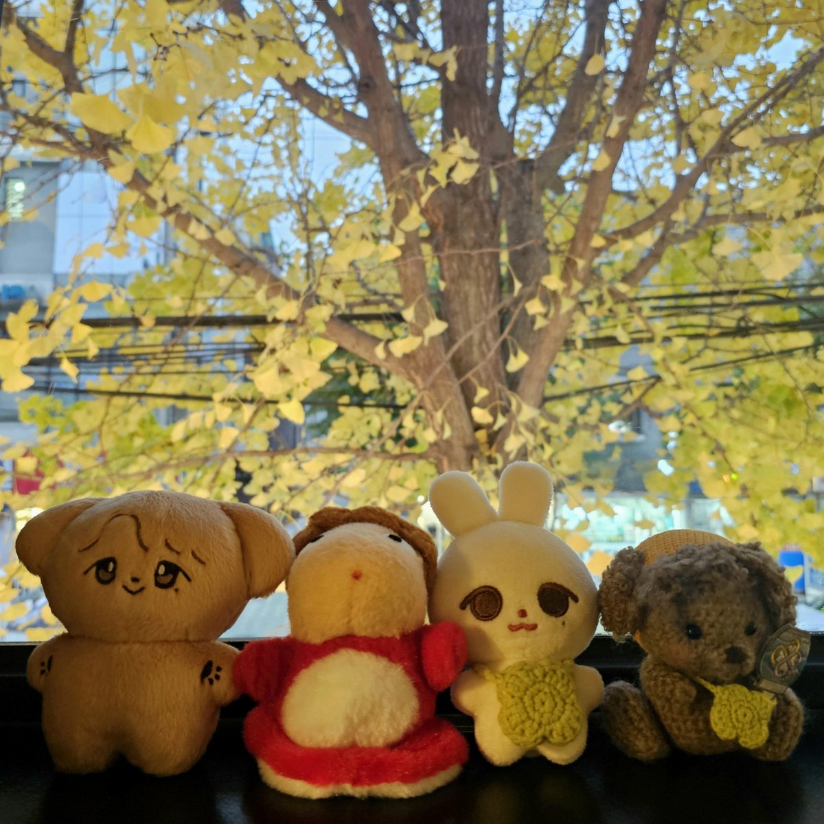 sinEsewoon's tweet photo. 늦가을 구경하는 센꿈이🐶와 깡총행🐰
보들보들 귀엽고 촉감이 부드러운 센꿈이🍀 혼자 앉았을 때 뒷통수마저 동글동글🟣
모아서 보면 더 귀여운 세우니인형세트✨️
어쩜 다 정말 세운스럽게 서로 이렇게 닮을 수 있는 건데 😌
#센꿈이의_꿈 https://t.co/JngzeDSym5