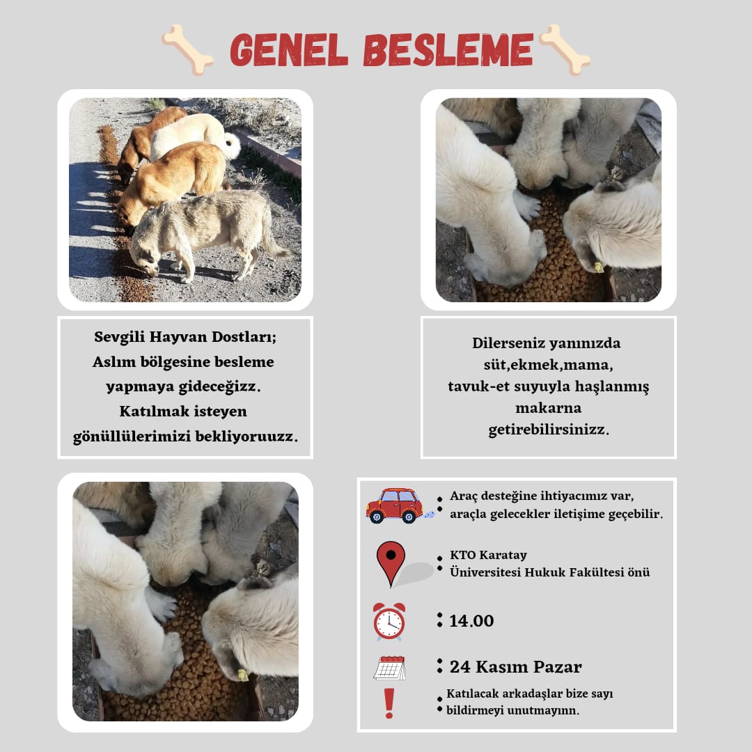 Katılmak isteyenler bizimle iletişime geçebiliirr🐾Hepinizi bekliyoruuz🫶🏻🐾
