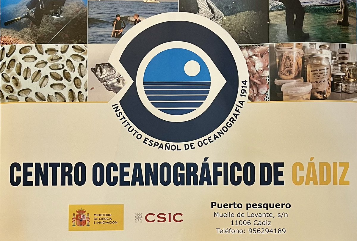 🔵 #BlueZoneForumInnovazul2024 

🙋🏻‍♀️🙋🏻‍♂️Ya estamos en el stand del <a href="/IEOoceanografia/">Instituto Español de Oceanografía (IEO-CSIC)</a> , arrancando el evento #Innovazul con la directora del #IEO <a href="/mclimatica/">Mª Carmen García</a> y la directora del centro gaditano Marina Delgado. 

Visítanos si estás en el evento y te contamos más. 

#SomosEconomiaAzul
