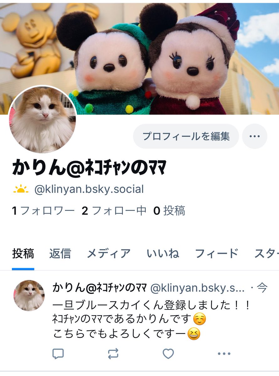 かりん@ﾈｺﾁｬﾝのﾏﾏ tweet media