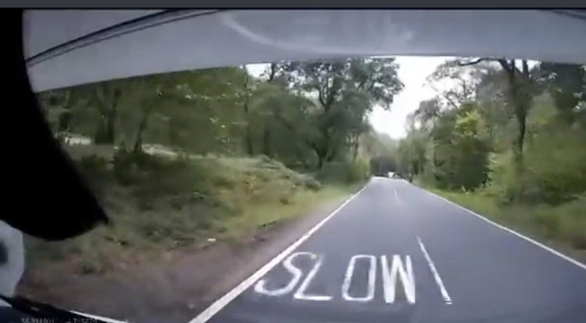 𝐌 Λ 𝐗 tweet media