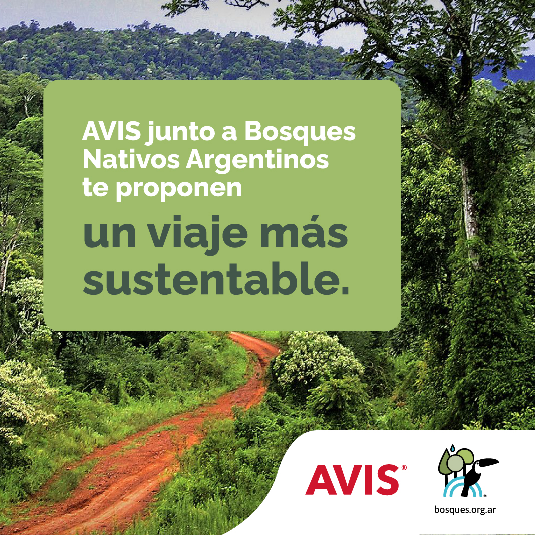 🌳Si sos de los que se preocupan por el #medioambiente, esta propuesta te va a encantar. Sabías que, con tu #alquiler de un auto en nuestras oficinas de Posadas e Iguazú, #Avis Argentina dona un árbol nativo de la selva misionera. ¿Querés conocer más? 🧑‍💻Avis.com.ar