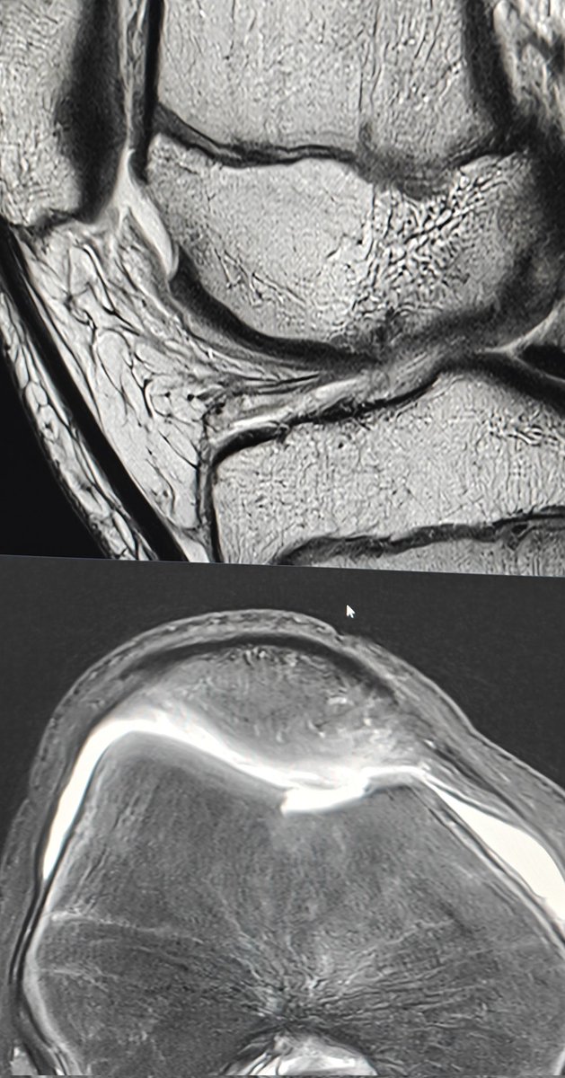 Neeraj Purohit tweet media