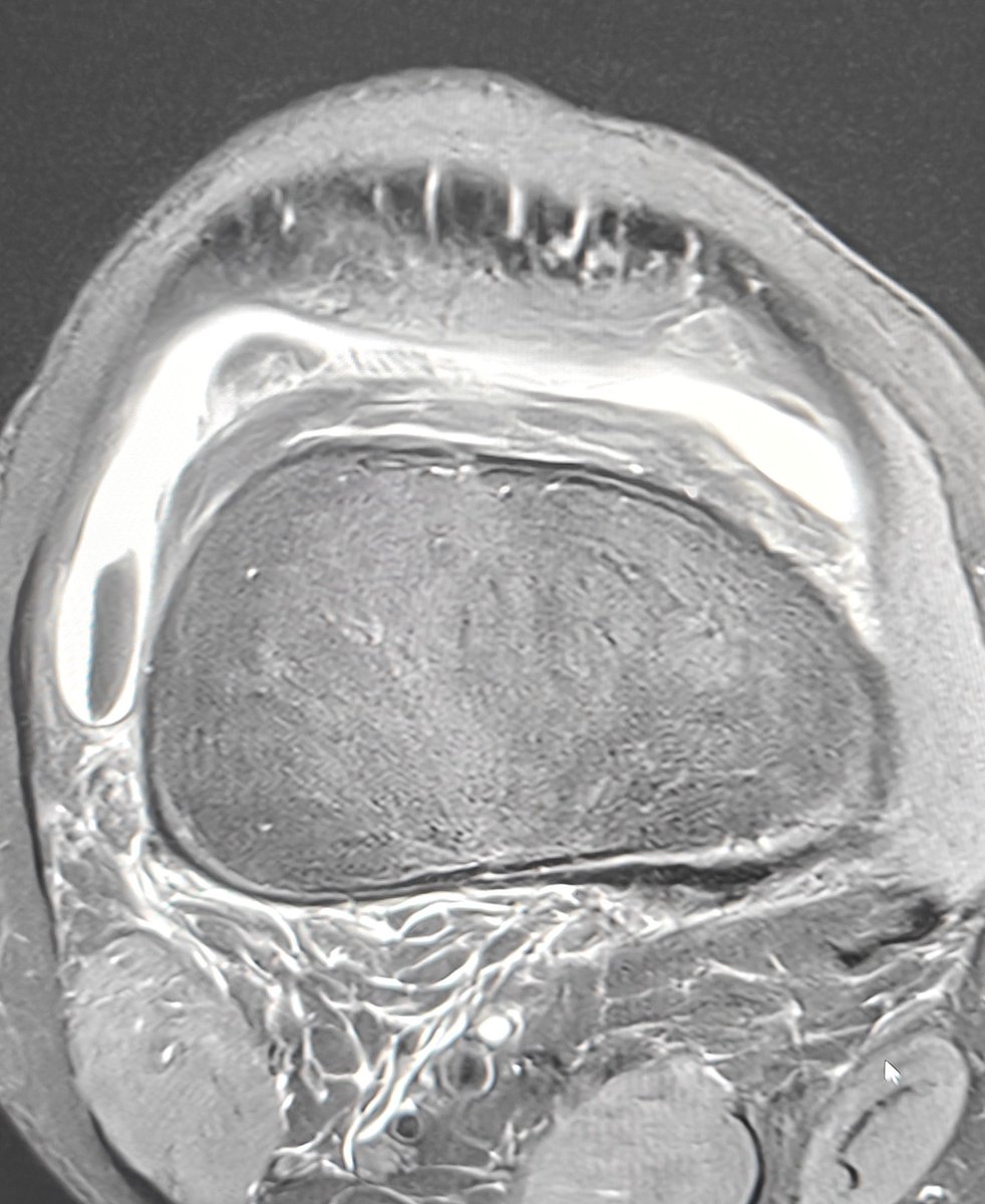 Neeraj Purohit tweet media