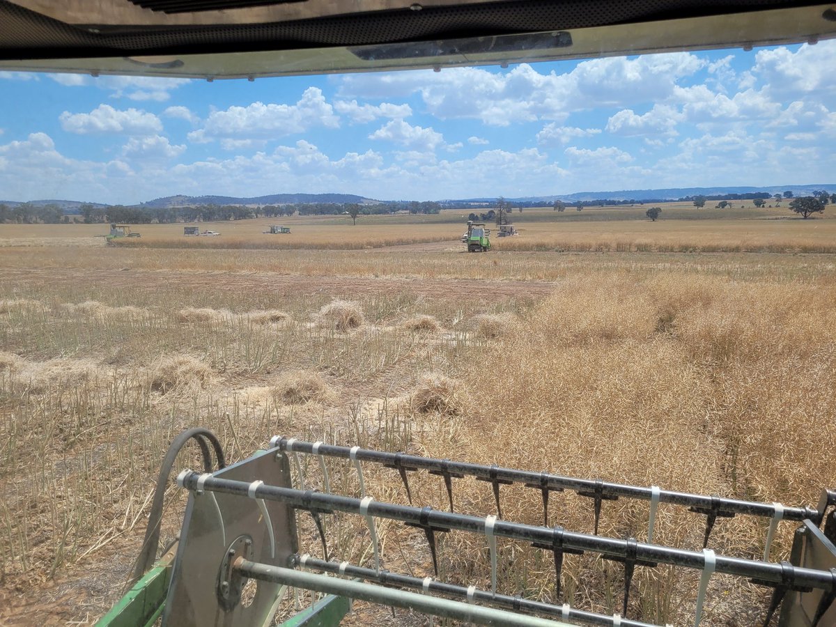 3 plot harvesters in the paddock make 4524 plots disappear real quick <a href="/kalyx_australia/">Eurofins Kalyx</a>