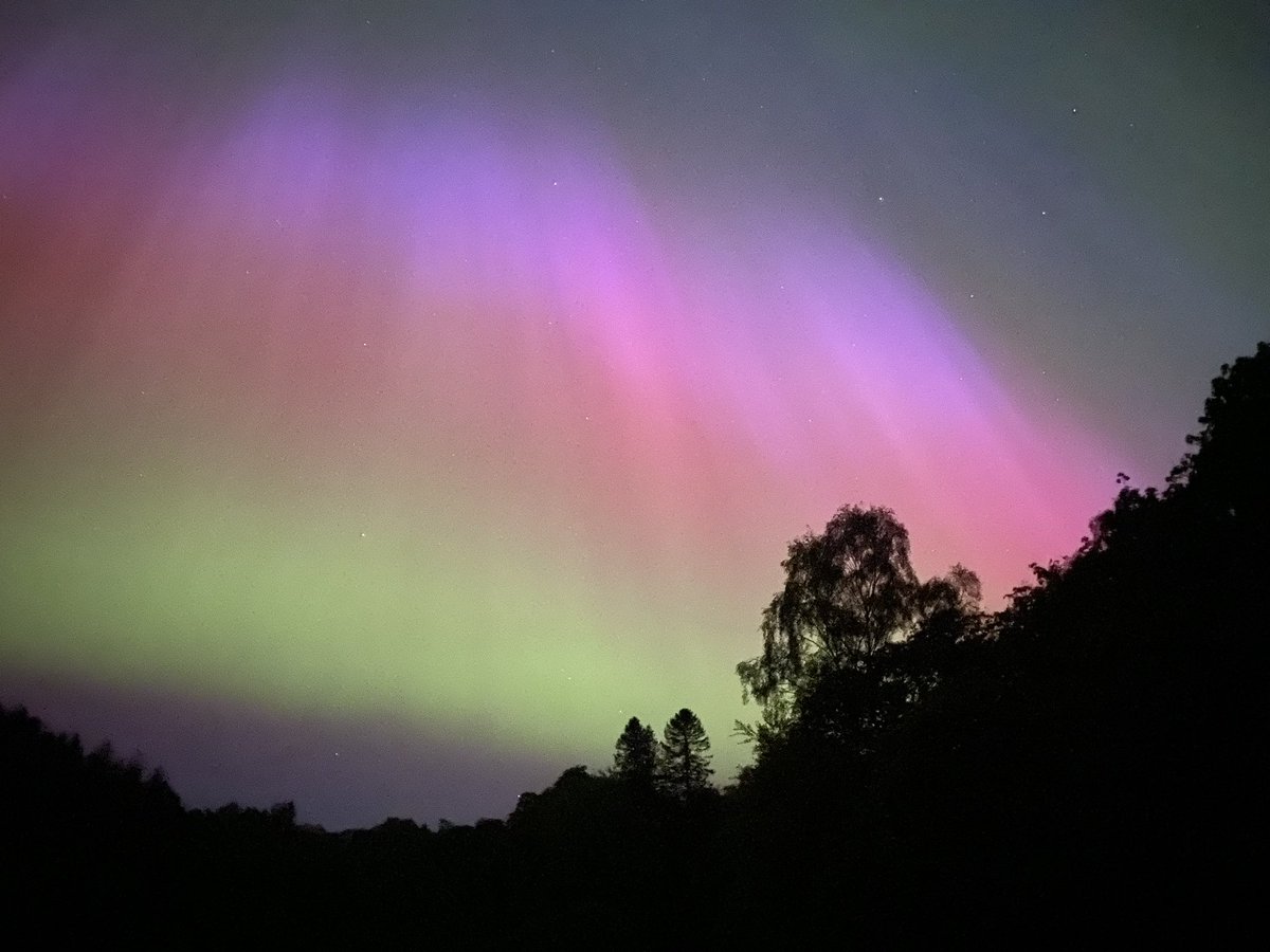 Simone Meddle tweet media