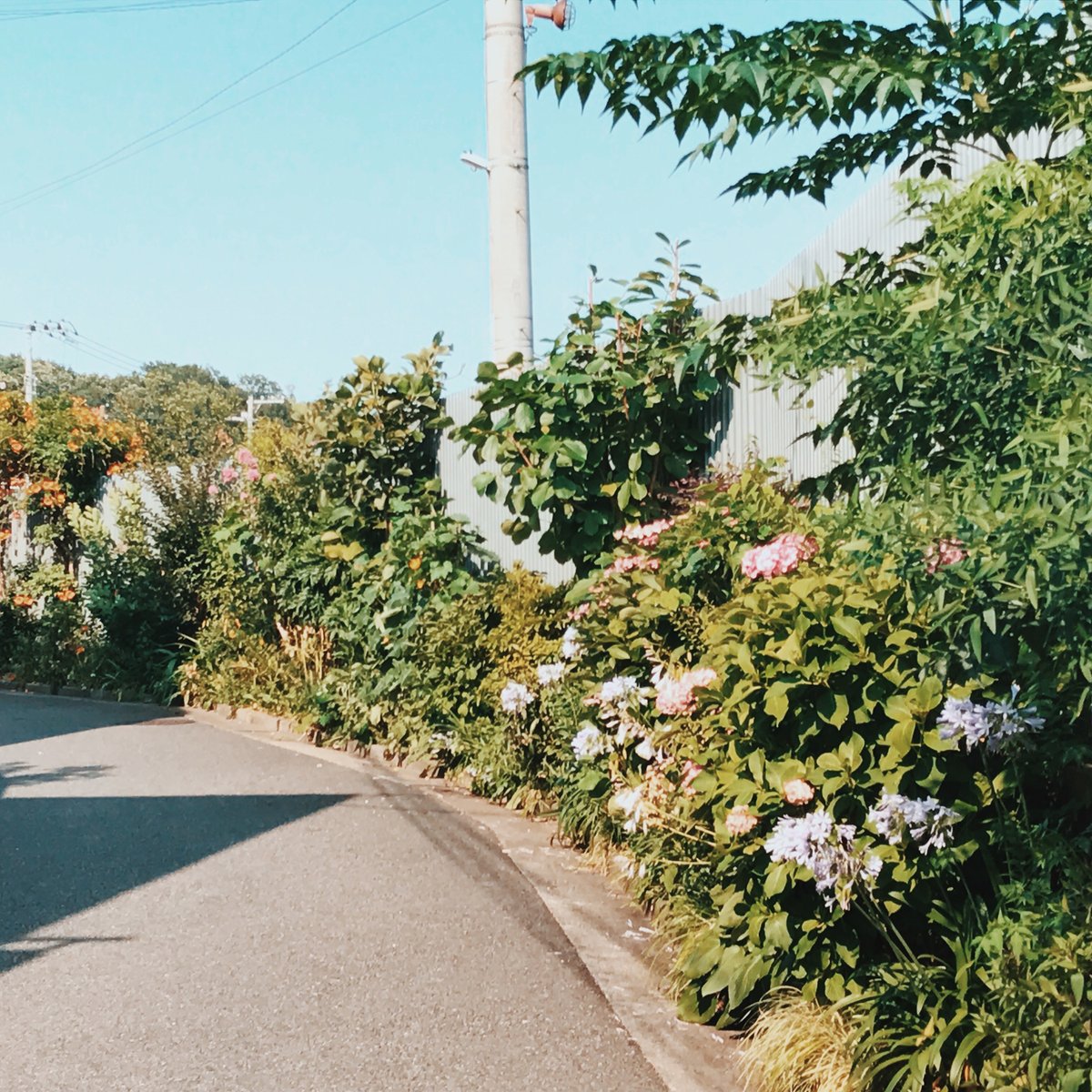 Métron Records tweet media