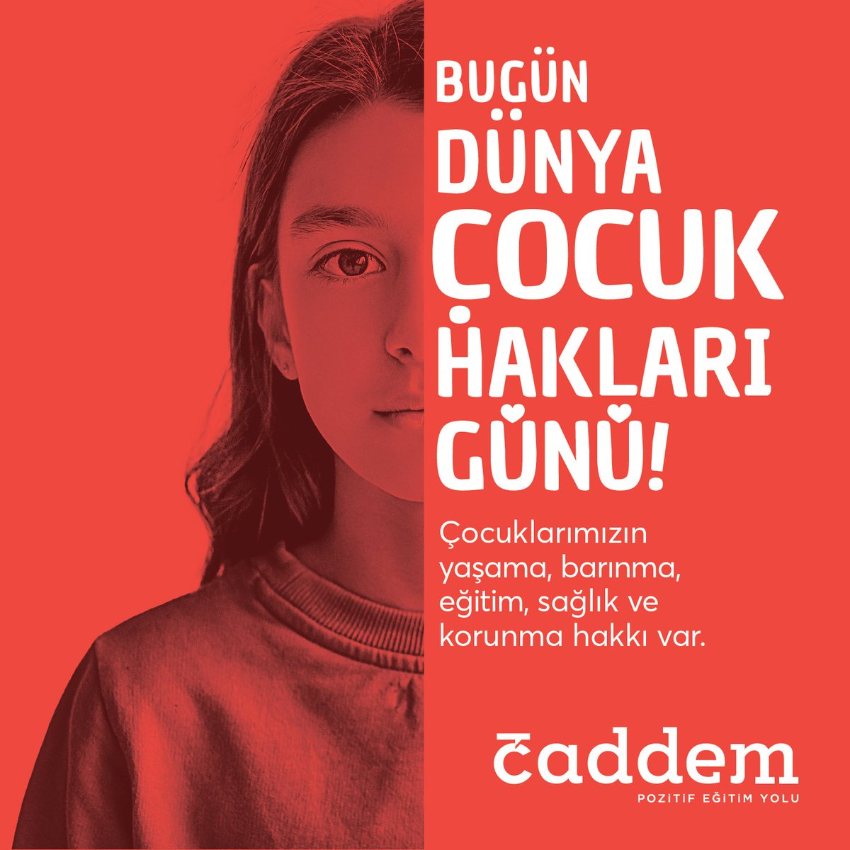 Caddem Eğitim (@caddemegitim) on Twitter photo 