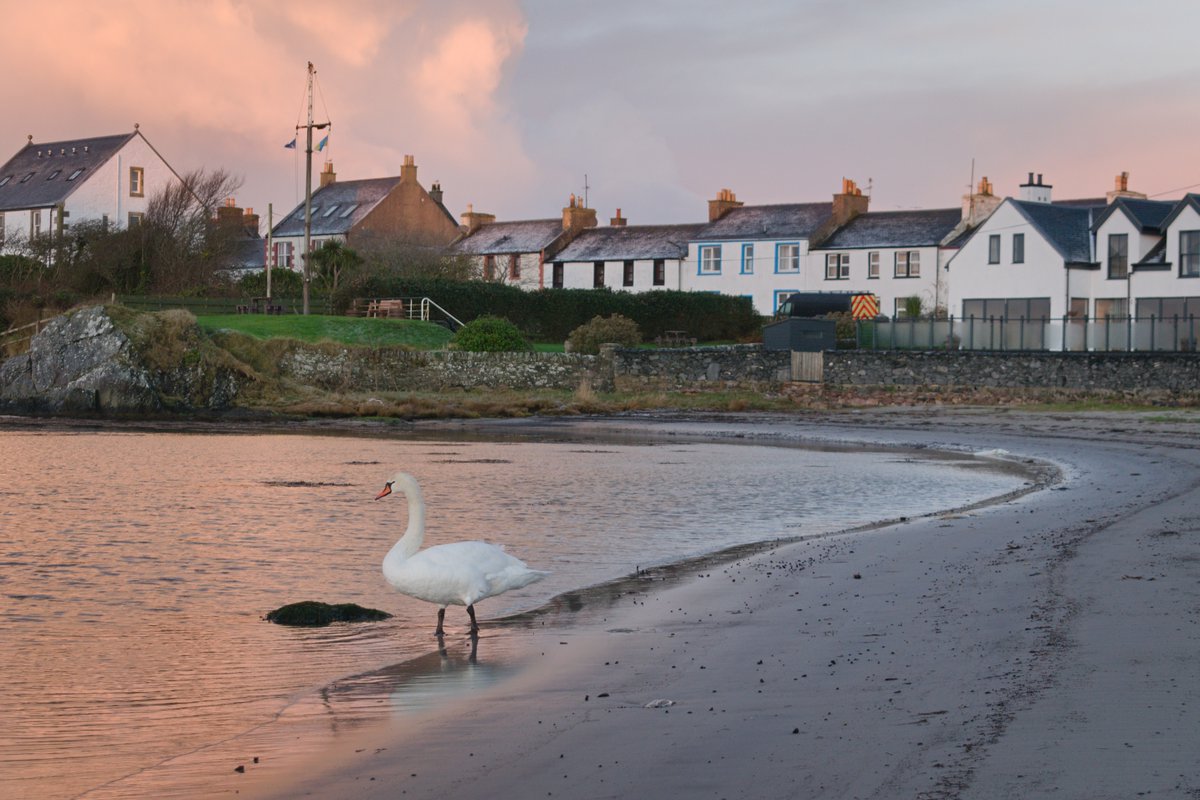 featherytravels's tweet image. This morning in Port Ellen.

#IsleOfIslay #InnerHebrides