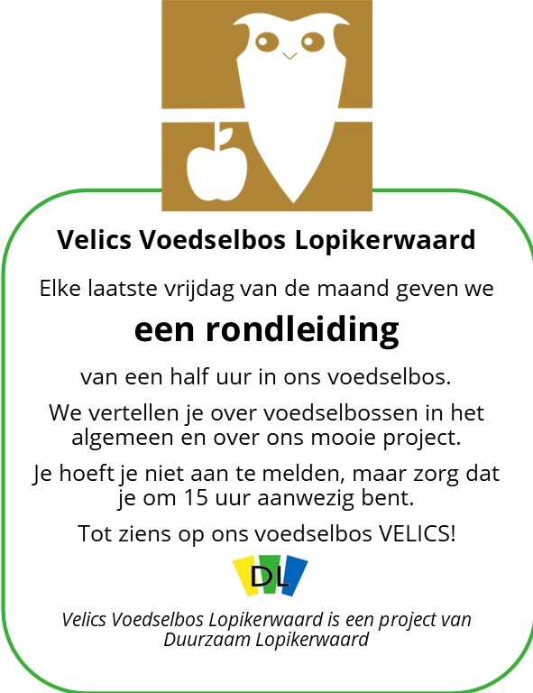 #Gemeentepagina van 20 november met:
- Raadsvergadering 
- Doe mee met het OV
- Lopik blijft samenwerken met Sjors Sportief en Creatief 
- Alzheimercafé 

En meer; cuatro.sim-cdn.nl/lopik/uploads/…