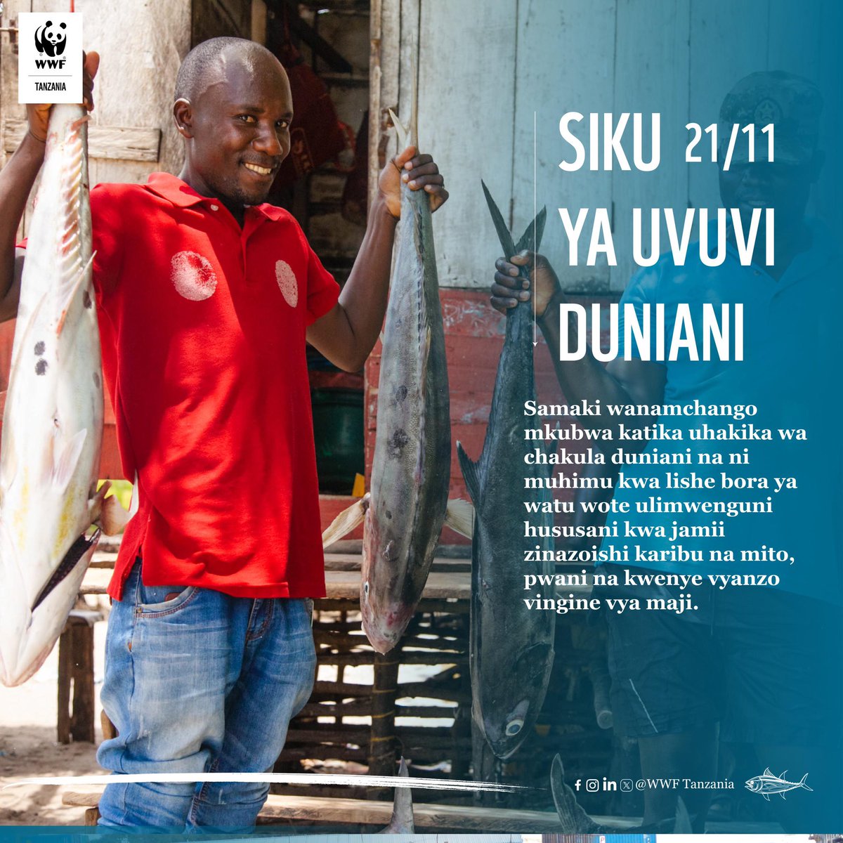 WWF-Tanzania tweet media